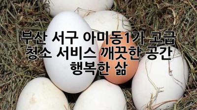 부산 서구 아미동1가 고급 청소 서비스: 깨끗한 공간, 행복한 삶 ✨