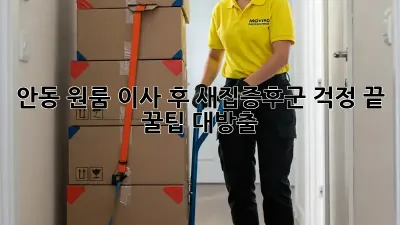 안동 원룸 이사 후, 새집증후군 걱정 끝! 꿀팁 대방출 ✨
