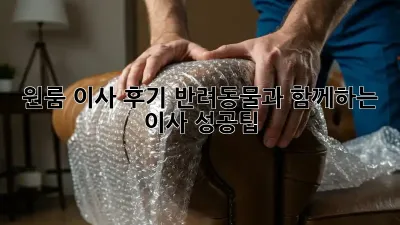 원룸 이사 후기: 반려동물과 함께하는 이사 성공팁