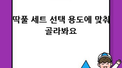 딱풀 세트 완벽 가이드: 나에게 딱 맞는 딱풀은?