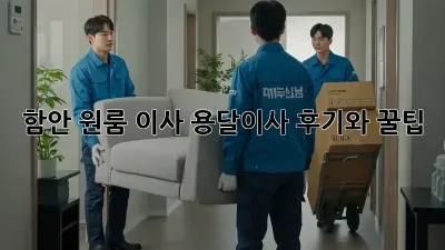 함안 원룸 이사, 용달이사 후기와 꿀팁!